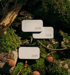 Limited Drop: Spring Refresh