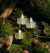 Limited Drop: Wellness Rituals