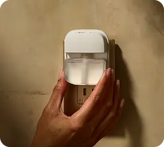 Limited Drop: Wellness Rituals