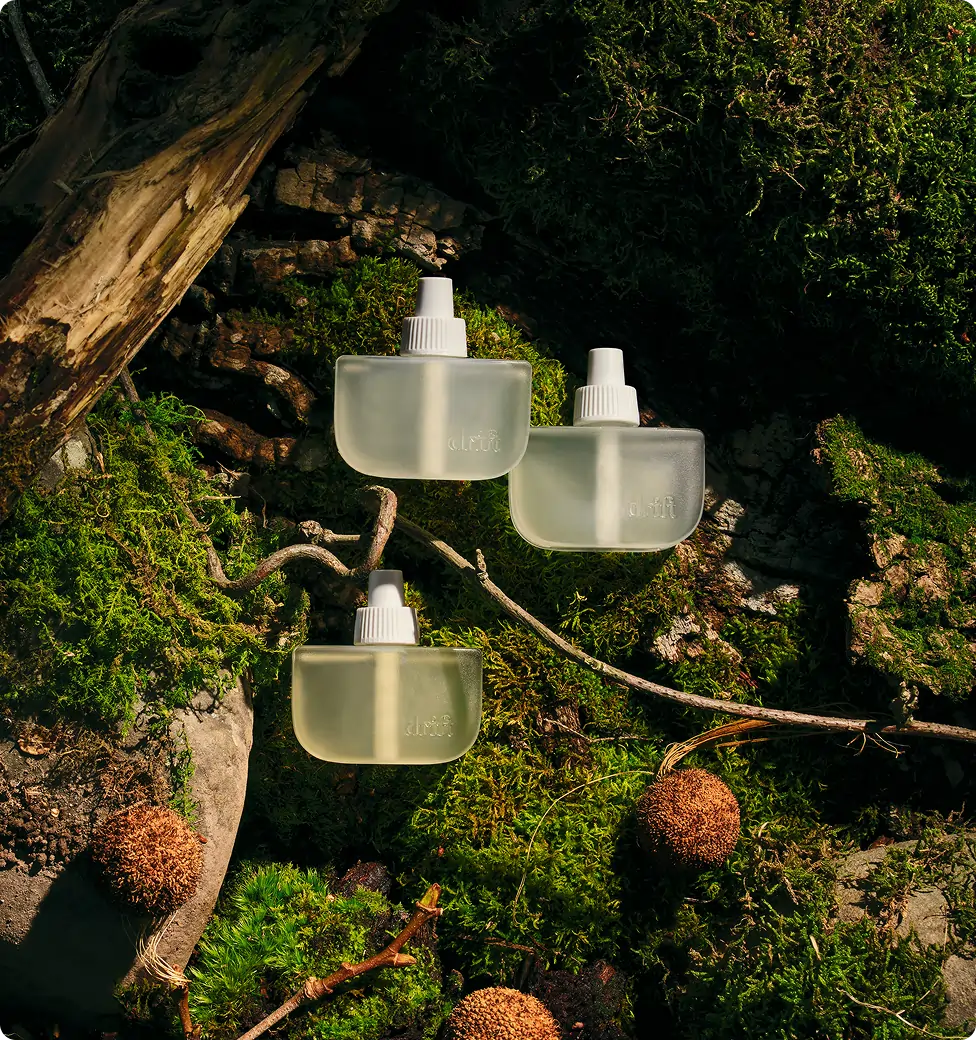 Limited Drop: Wellness Rituals